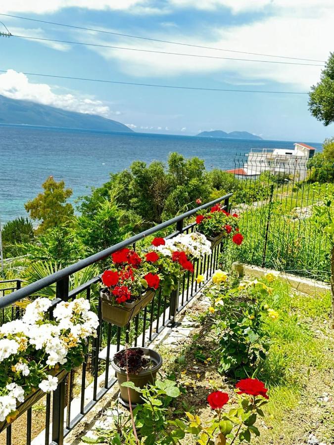 Apartament Rezidenca Oliva Wlora